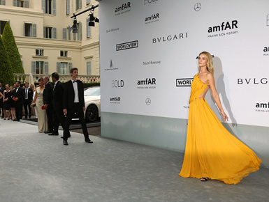 amfAR 2014