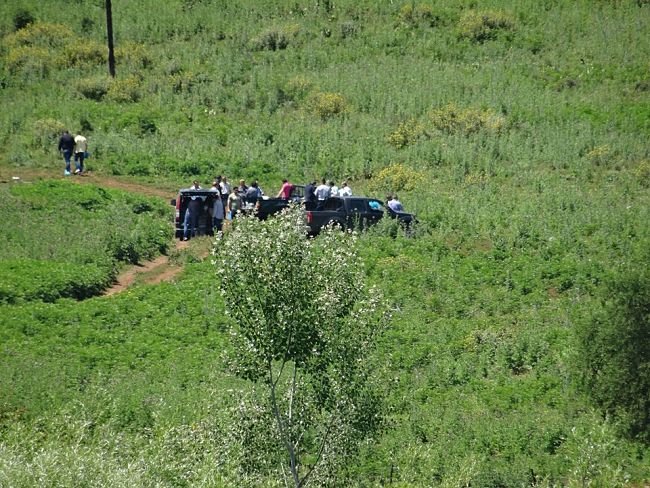 shqiptari i pritet koka greqi igumenice