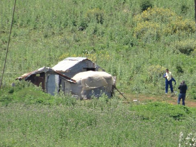 shqiptari i pritet koka greqi igumenice