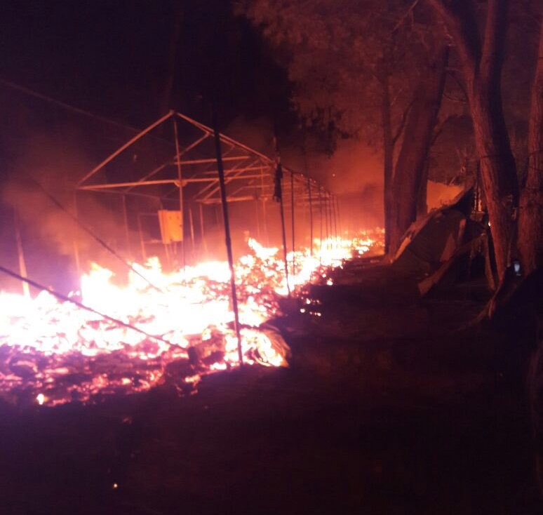 zjarr ne nje kamp ne greqi