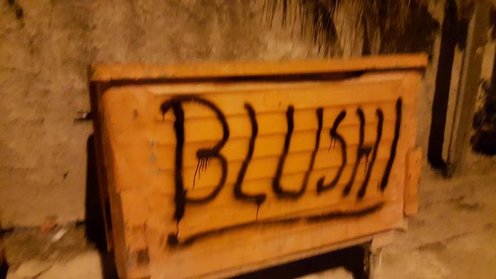 blushi plera