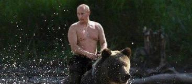 putin ari