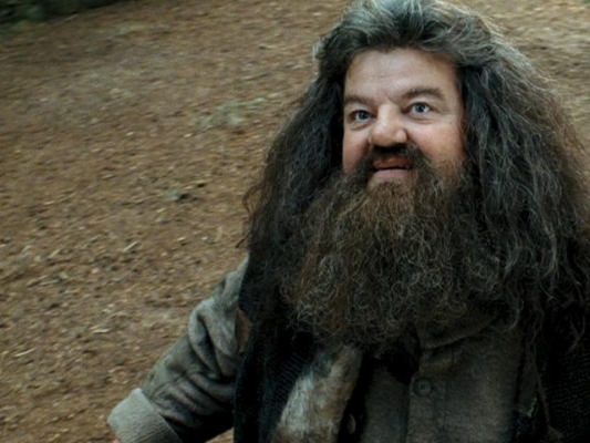 Robbie Coltrane