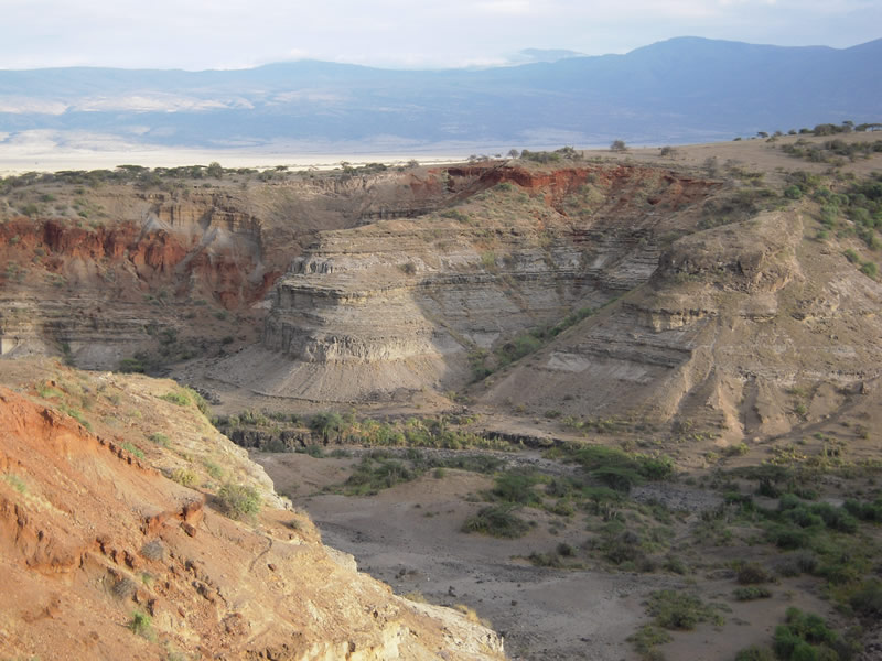 olduvai