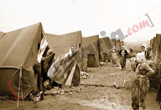 Disa nga pamjet që dëshmojnë mbërritjen e refugjatëve çamë në Shqipëri, në vitin 1945 3