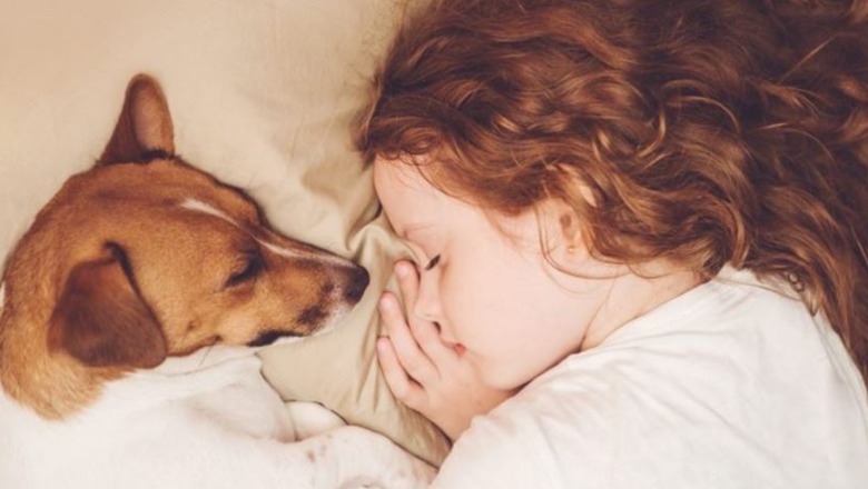A është e shëndetshme që fëmijët të flenë me kafshët shtëpiake