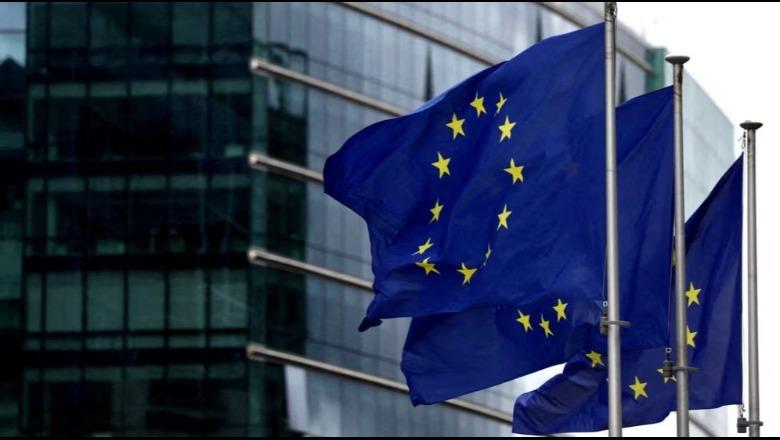 Masat ndëshkuese/ Analiza e REL: Politika e BE-së ndaj Kosovës në 'autopilot'! 13 organizata të shoqërisë civile letër Unionit