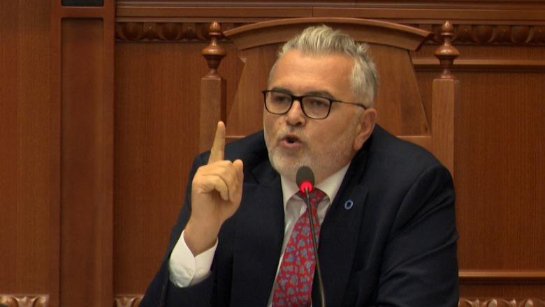 Sulmet e Berishës ndaj Gonzatos, ministri Toni Gogu: Duhen dënuar, stigmatizohen ambasadorë për arsye personale