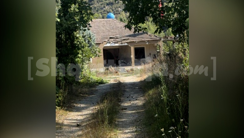 1786875591_yllizalla.jpg