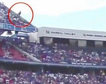 SHBA, bie nga tribuna e lart&euml;<br />tifozi i shp&euml;ton vdekjes