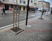 Basha flet p&euml;r cil&euml;sin&euml; e jet&euml;s:<br />&ldquo;&Euml;sht&euml; detyr&euml; e pushtetit&rdquo;