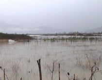 PKD, qeverisë: Dëmshpërblim<br />familjeve të përmbytura në Veri