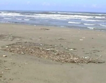 Fier, vija e bregdetare e<br />Darëzezës, probleme me mbetjet