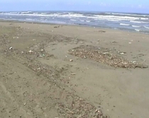 Fier, Driza: Mungesa e investimeve<br />solli plazhist&euml; t&euml; pakt&euml; n&euml; Dar&euml;zez&euml;