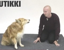 Shikoni reagimin e kafsh&euml;ve<br />ndaj lehjes s&euml; njer&euml;zve..