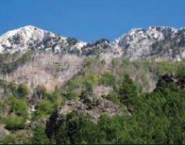 Mbi 1 milion turistë të huaj vizituan<br />Shqipërinë në 6 muajt e parë të 2014