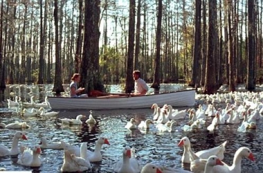 Scott Disick dhe Kourtney Kardashian<br />një ditë romantike mbi varkë