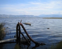 Lezh&euml;, aksion ndaj peshkimit t&euml;<br />paligjsh&euml;m, bllokohen 7 varka