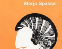 Pse romani &lsquo;Pse?&rsquo; i Spasses quhet<br />fi llesa moderne e proz&euml;s shqipe