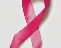 A1Report dhe Shqiptarja.com me<br />fjongon rozë në ndihmë të gruas
