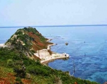 Stina kur lindim ndikon<br />ne humorin ton&euml;