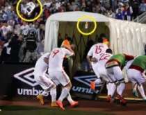 Opinion&nbsp;107-vje&ccedil;a