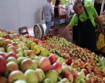 Rusia heq bllokadën ndaj Shqipërisë<br />Rinisin eksportet e fruta-perimeve