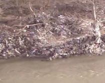 Fushë-Krujë, mbetjet spitalore e<br />kimike 