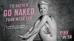 Pink zhvishet nudo për<br />të drejtat e kafshëve