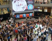 Alarm n&euml; SHBA, Al-Shabaab<br />k&euml;rc&euml;non: Sulme n&euml; supermarkete!