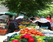 Xhixho n&euml; nj&euml;sin&euml; 9: Me Kryetarin e<br />ri zgjidhim&nbsp;problemin e legalizimeve