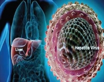 Si ta mbroni mëlçinë nga Hepatiti B