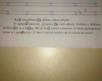Teksti fyes është në librin e një<br />mësueseje në Durrës, reagon MAS