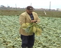 Lushnje, hidrovori 200m larg tokave <br />bujqësore...por sërish u përmbytën