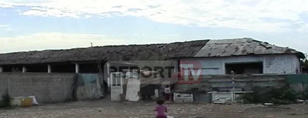 Krujë, 12 familje rome në kushte<br />çnjerëzore, fëmijët lypin në rrugë