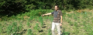 'Bomba' e PD:Në Shqipëri ka drogë<br />A e shkatërroi më pas parcelën?