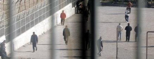 Mbante doza droge dhe thik&euml; brenda<br />burgut, kapet n&euml; Fier 39-vje&ccedil;ari