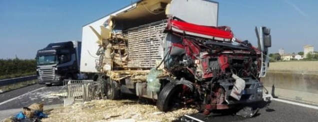 Itali, shqiptari përplas kamionin me<br />vezë, mediat: Një omletë e vërtetë