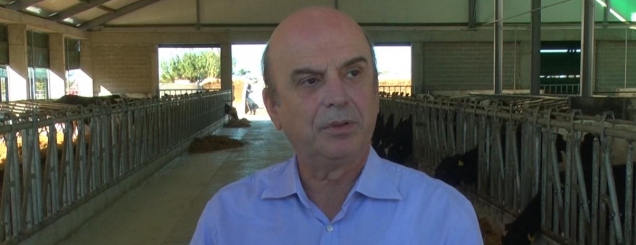 Dermatoza Nodulare,<br />Panariti: Nesër nis vaksinimi