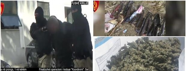 Video/Fushë-Krujë, kapen 425 kg<br />kanabis e 12 armë, 6 të arrestua