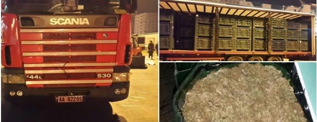 VD/450 kg kanabis me kamion drejt<br />Italisë, droga u zbulua nga skanimi