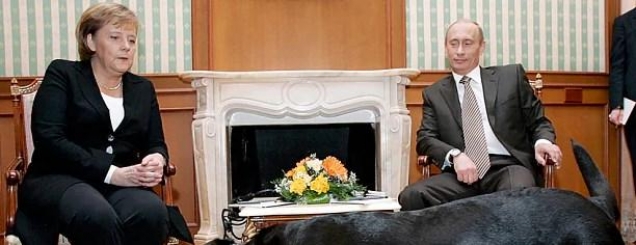 A po p&euml;rzihet Rusia n&euml; pun&euml;t&nbsp;<br />e&nbsp;brendshme t&euml; Gjermanis&euml;?