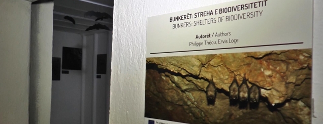 ''Bunkerët streha e jetës së egër'' <br /> lakuriqët e natës në Bunk'Art 1