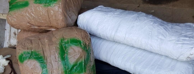 Policia gjen 113 kg kanabis te<br />Gjiri i Lalëzit, gati për t'u trafikua