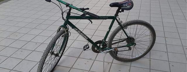 Tiran&euml;,vidhte celular&euml;t nga tavolina<br />e largohej me bi&ccedil;iklet&euml;, arrestohet