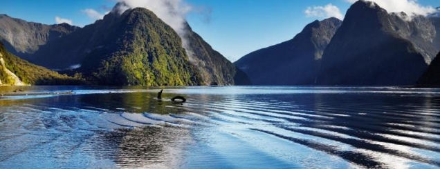 Paguhet 400 mijë dollarë, por<br />askush nuk e pranon këtë punë