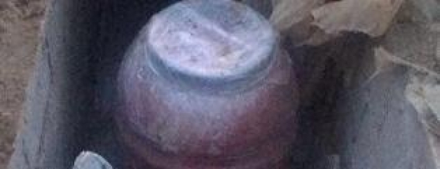 Vlorë, groposi 40 kg drogë në<br />bahçe, arrestohet 29 vjeçari