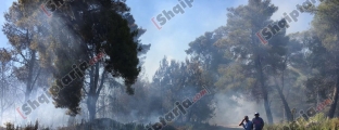 ​Vlorë, zjarri përfshin pyllin e<br />Sodës, digjen 3 hektarë pisha