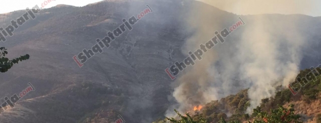 Sarandë, ​zjarr në fshatin Muzinë <br />flakët rrezikojnë disa shtëpi
