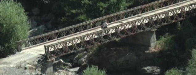 Nxënësit e fshatit Orgjost pa<br />mësim,ura drejt shkollës e rrënua